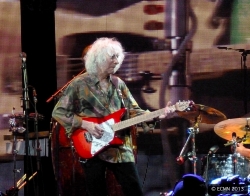 Albert Lee