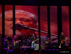 Los Lobos and Eric Clapton