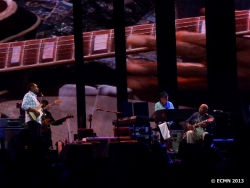 Robert Cray and BB King