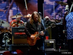 Warren Haynes